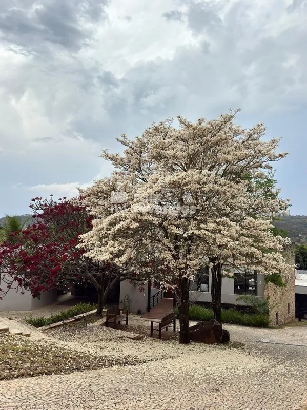 Uma casa que não segue o padrão do condomínio, ela cria o próprio. Projeto autor...