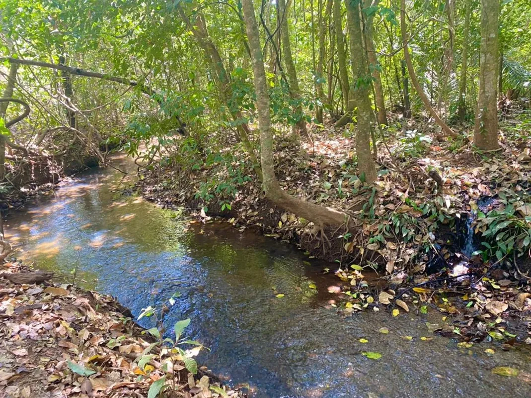 Se você procura um refúgio para descansar, investir ou construir sua propriedade...