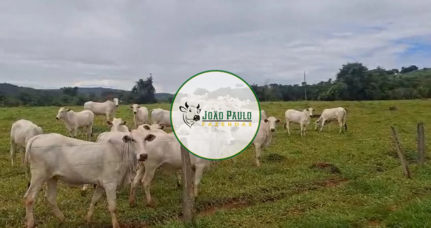 CORRETOR RESPONSÁVEL: JOÃO PAULO LIMA CRECI-DF 29436FAZENDA À VENDA – PADRE BERN...