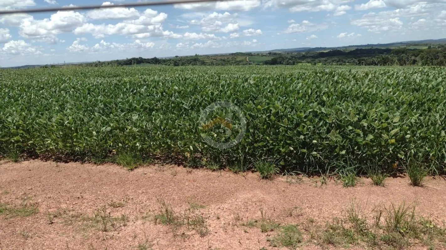 Excelente oportunidade de investimento agrícola em uma das regiões mais produtiv...