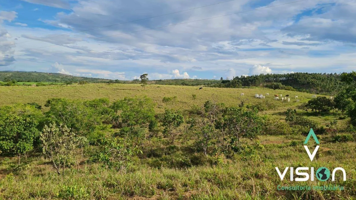Venda em Cocalzinho de Goiás Região de Edilândia, Zona RuralFazenda com 24 alque...