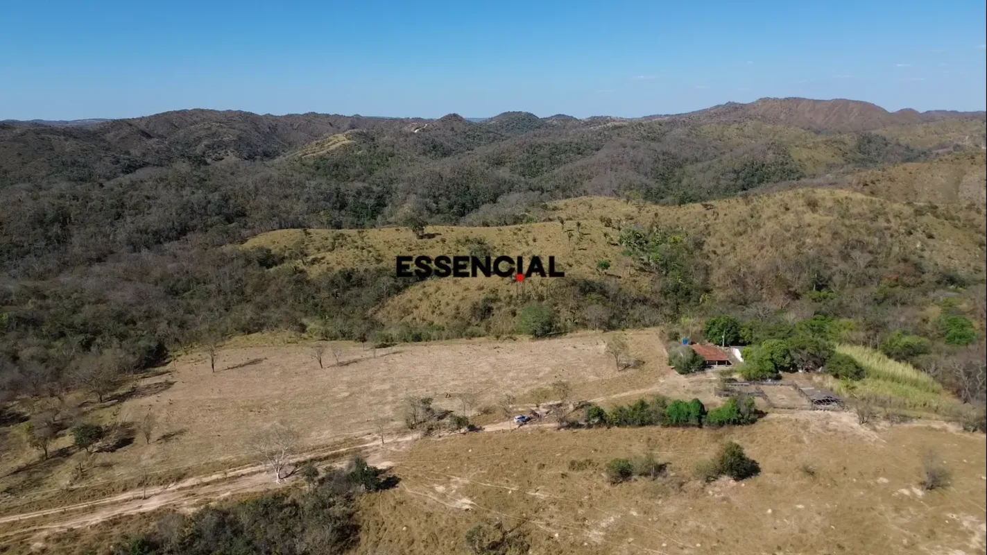 Fazenda à Venda – Excelente para PecuáriaFazenda com aproximadamente 123 hectare...