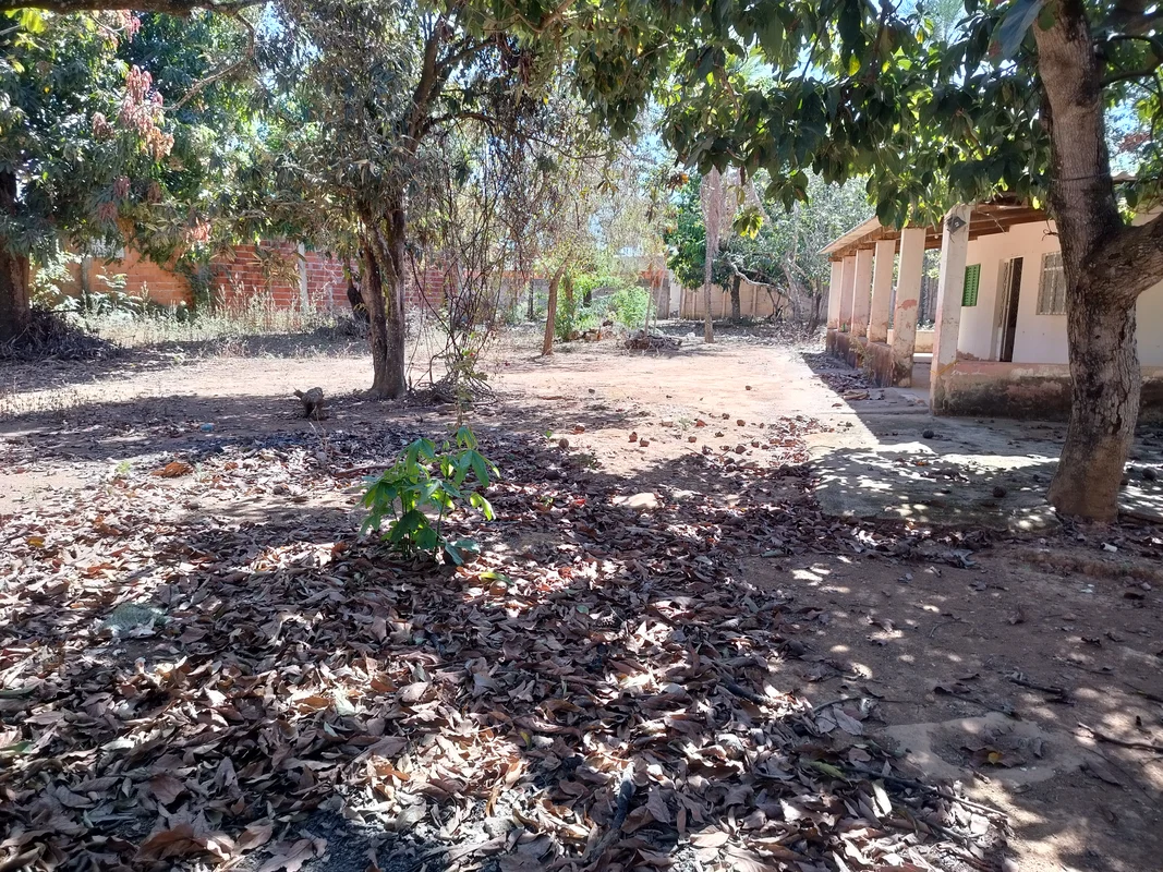 Foto do Imóvel