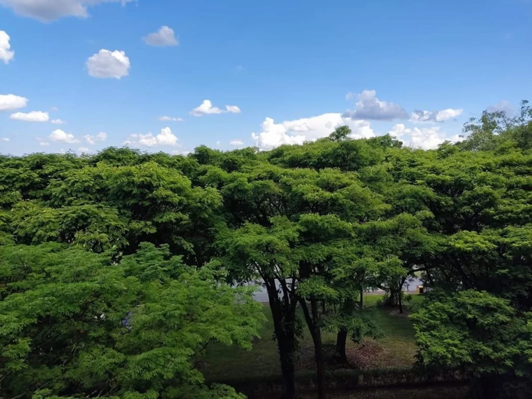 SQS 114 ASA SUL - BRASÍLIA/DFEXCELENTE APARTAMENTO COM 157,00m²!!!HALL DE ENTRAD...