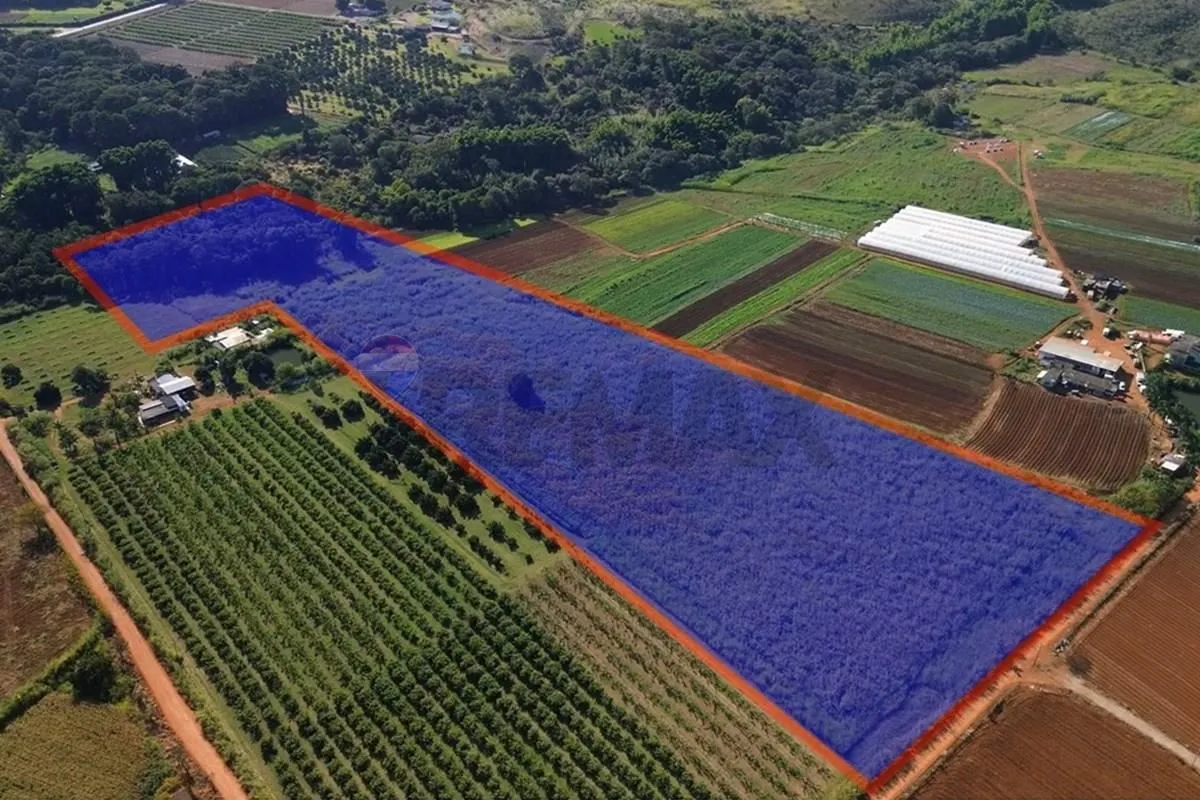 Seu refúgio no campo, cercado por natureza e tranquilidade.Excelente oportunidad...