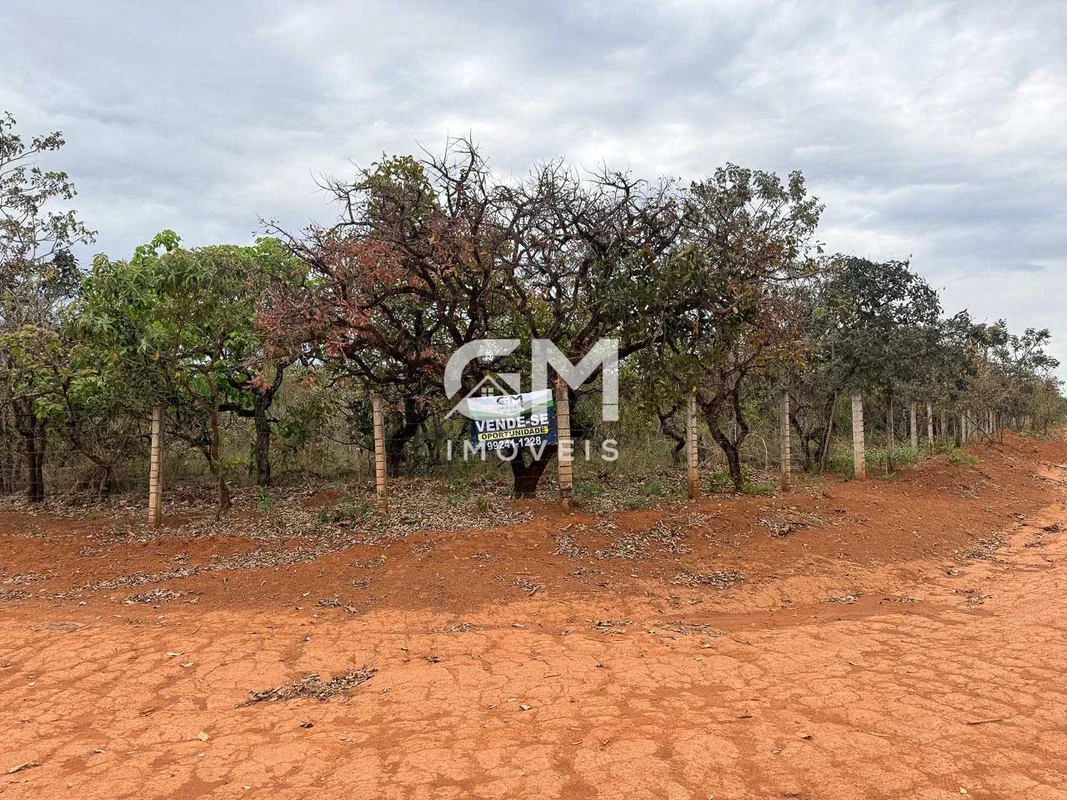 GM IMÓVEIS VENDE CHACARA NÍCLEO RURAL BONSUCESSO - PLANATINA CHÁCARA À VENDA – N...
