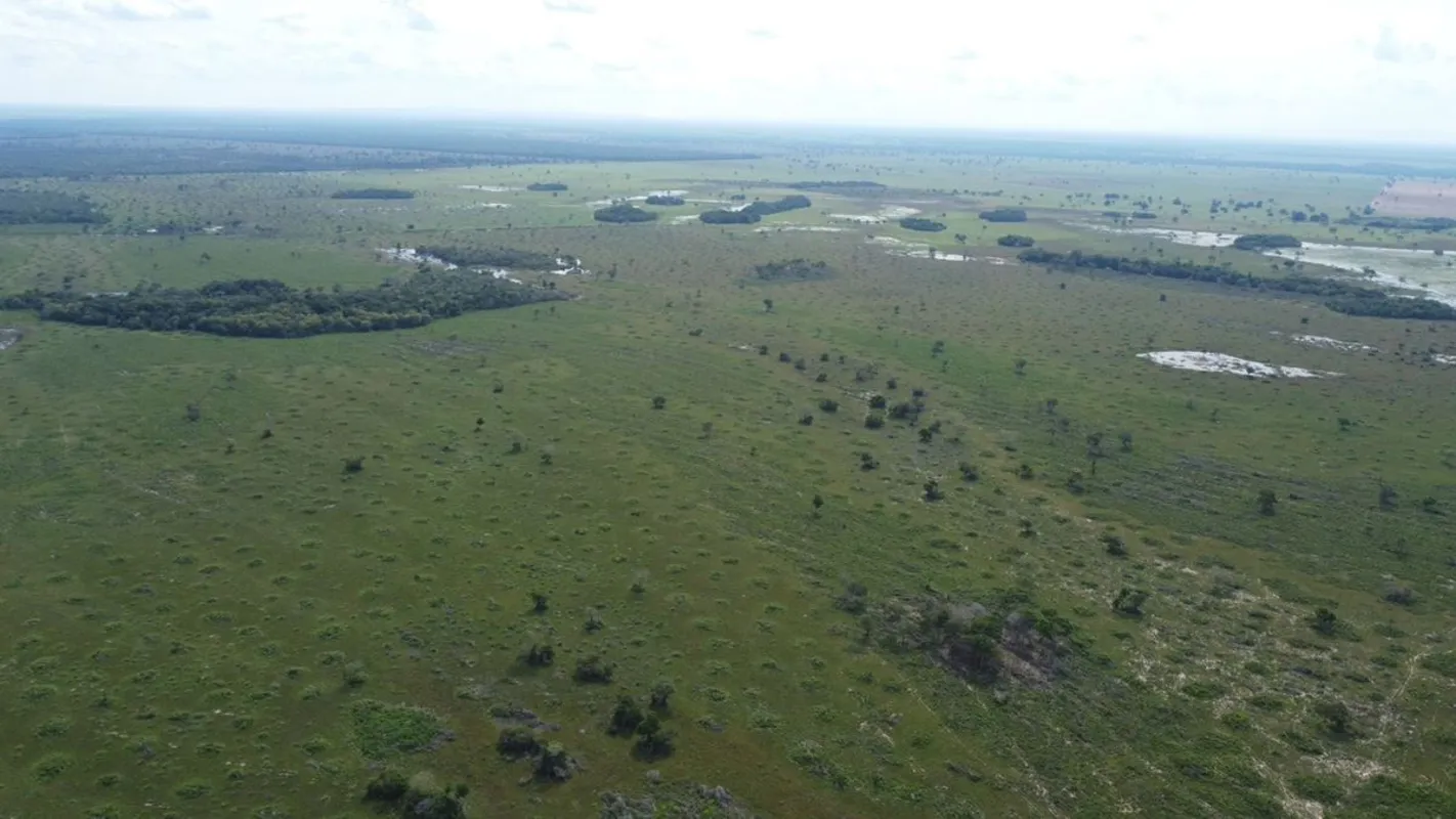 ?? Fazenda em Araguaiana/MT?? Área total: 4.158 hectares?? 2.900 hectares em pas...