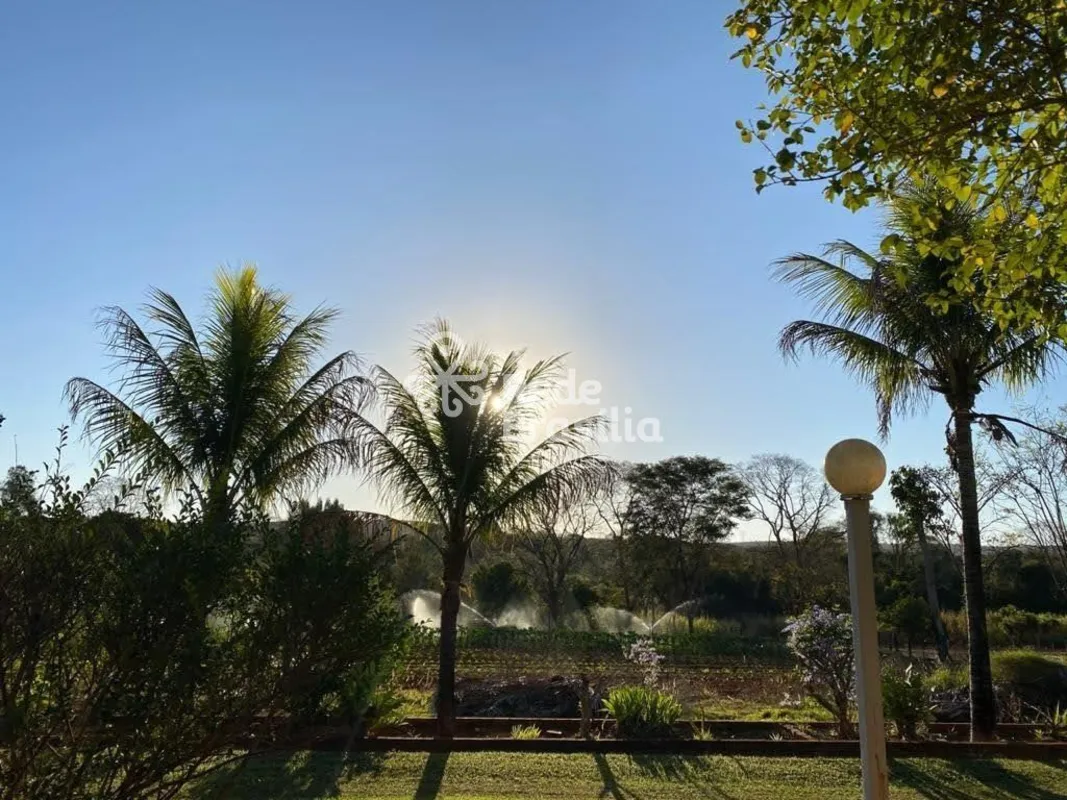 Chácara Núcleo Rural Casa Grande - GamaChácara com aproximadamente 2,2 hectares,...