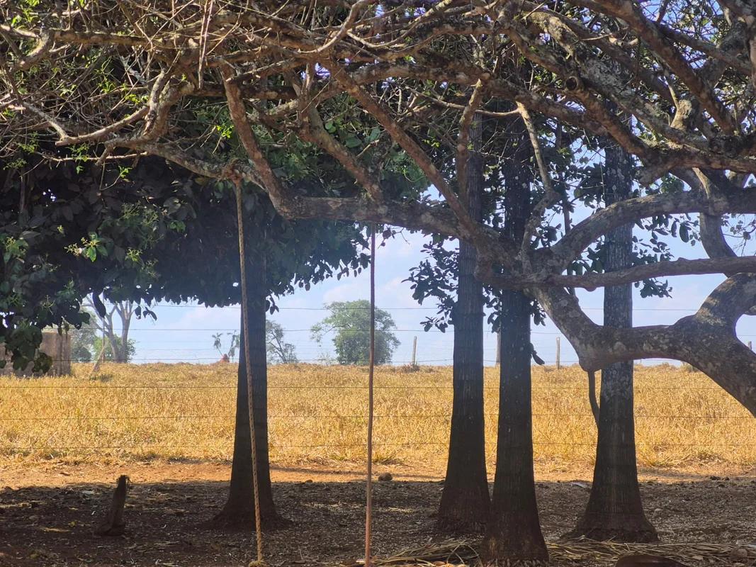 Linda fazenda, escriturada , porteira fechada , próximo ao asfalto, com 06 alque...