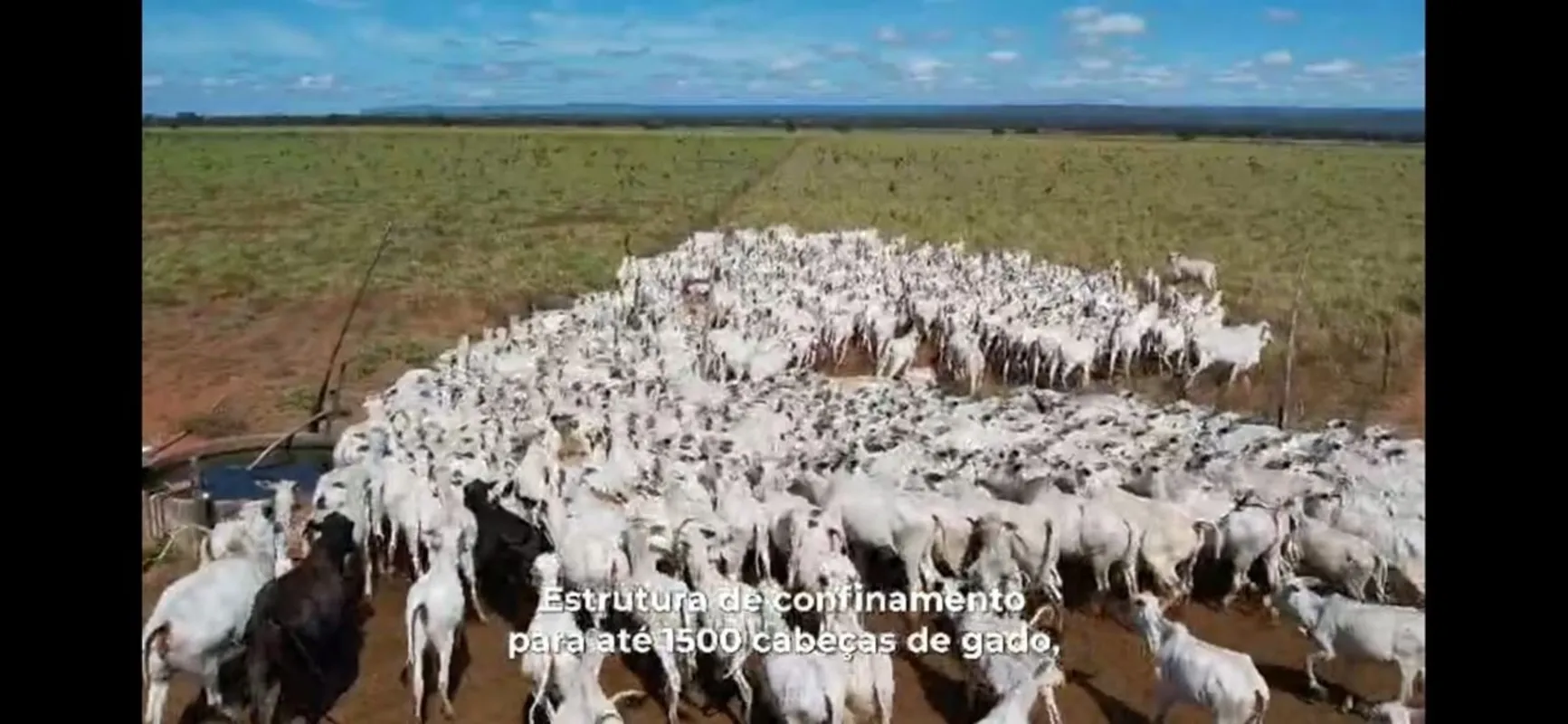 Fazenda de alto padrão à venda com aproximadamente 9.000 hectares 60% plana, ide...
