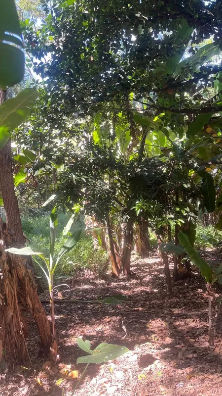 Chácara Jardim Novo Mundo Área total :2.987,50 m2Frente : 25 mtsLateral : 119,50...