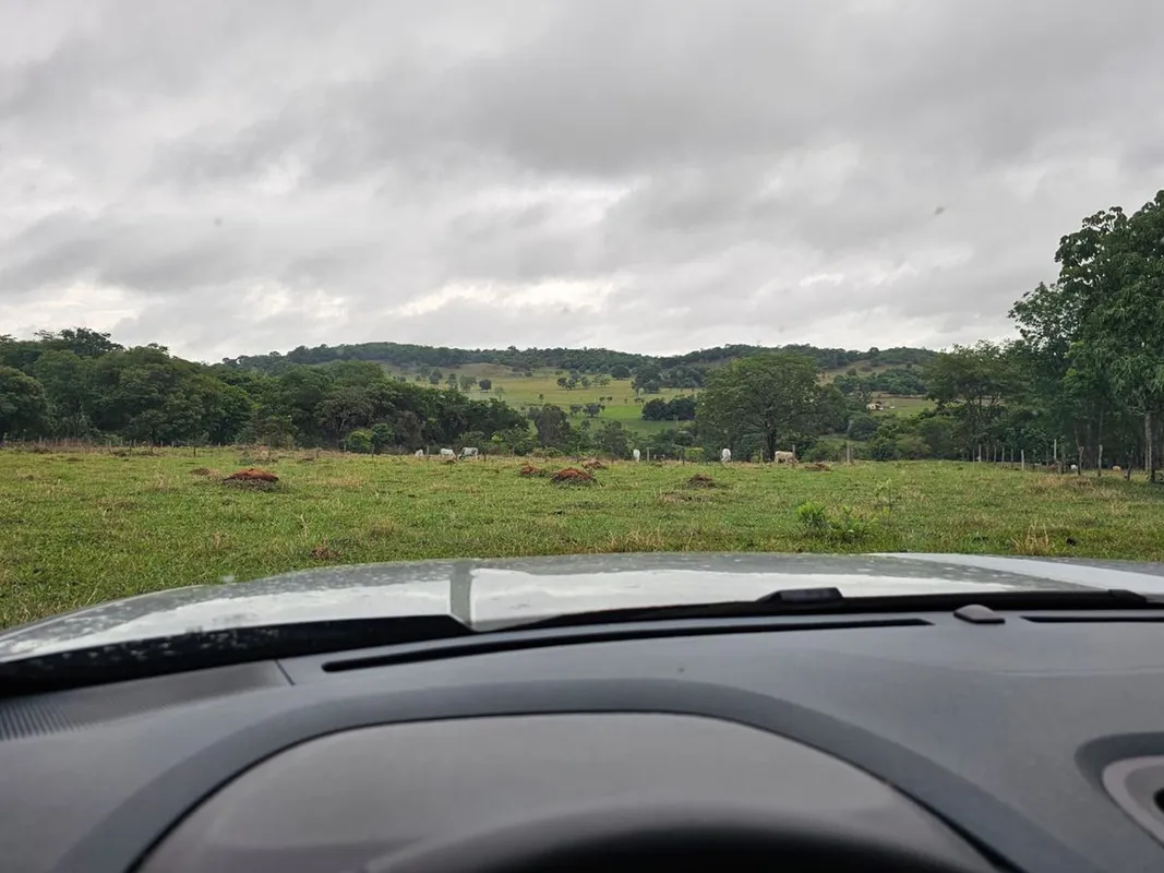 Terreno com 60.000 m2 (1 alqueire e 20 litros), retangular 100m x 600m;Já em pas...