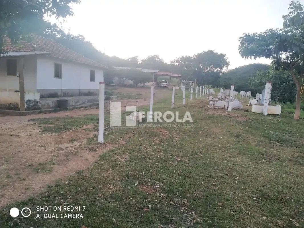 Fazenda em Únai MG 70 hectares escriturada na BR251FEROLA EMPREENDIMENTOS IMOBIL...