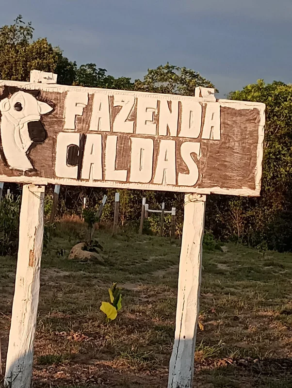 ÓTIMA FAZENDA NA REGIÃO DE CAVALCANTI -GO, COM 530 ALQUEIRES, DOCUMENTAÇÃO EM OR...