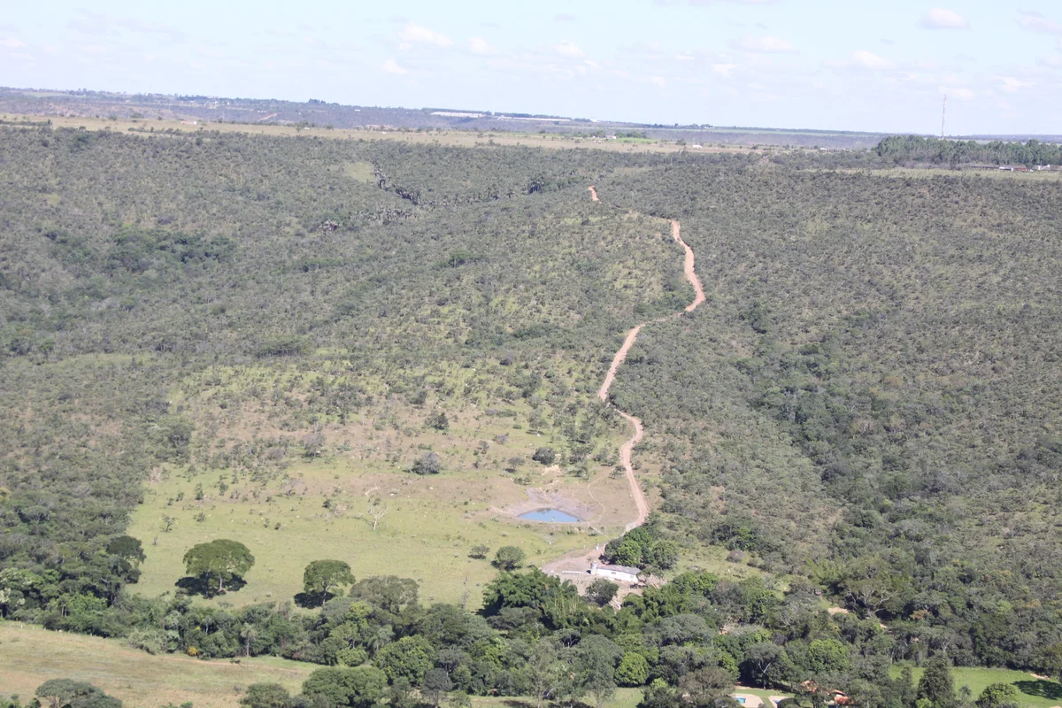 FAZENDA BURITI TIÇÃO - 20 HECTARES - CÓRREGO, CASCATA, PISCINA E CASAS - BR-060 ...