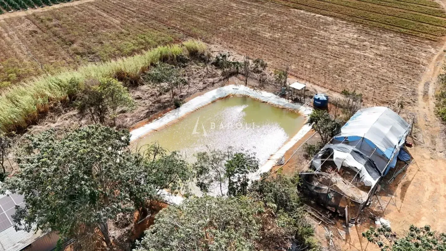 PLANALTINA DE GOIÁS | 13,9 HECTARES | ENERGIA SOLAR | SISTEMA DE IRRIGAÇÃOA Baro...