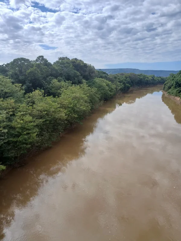 ??? EXCELENTE FAZENDA DE 85 HECTARES EM ARINOS - MG | ABUNDÂNCIA DE ÁGUA E ESTRU...