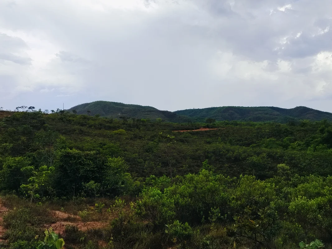 Chácara de 2 hectares, com linda vista ,Escriturada E Registrada Grande oportuni...
