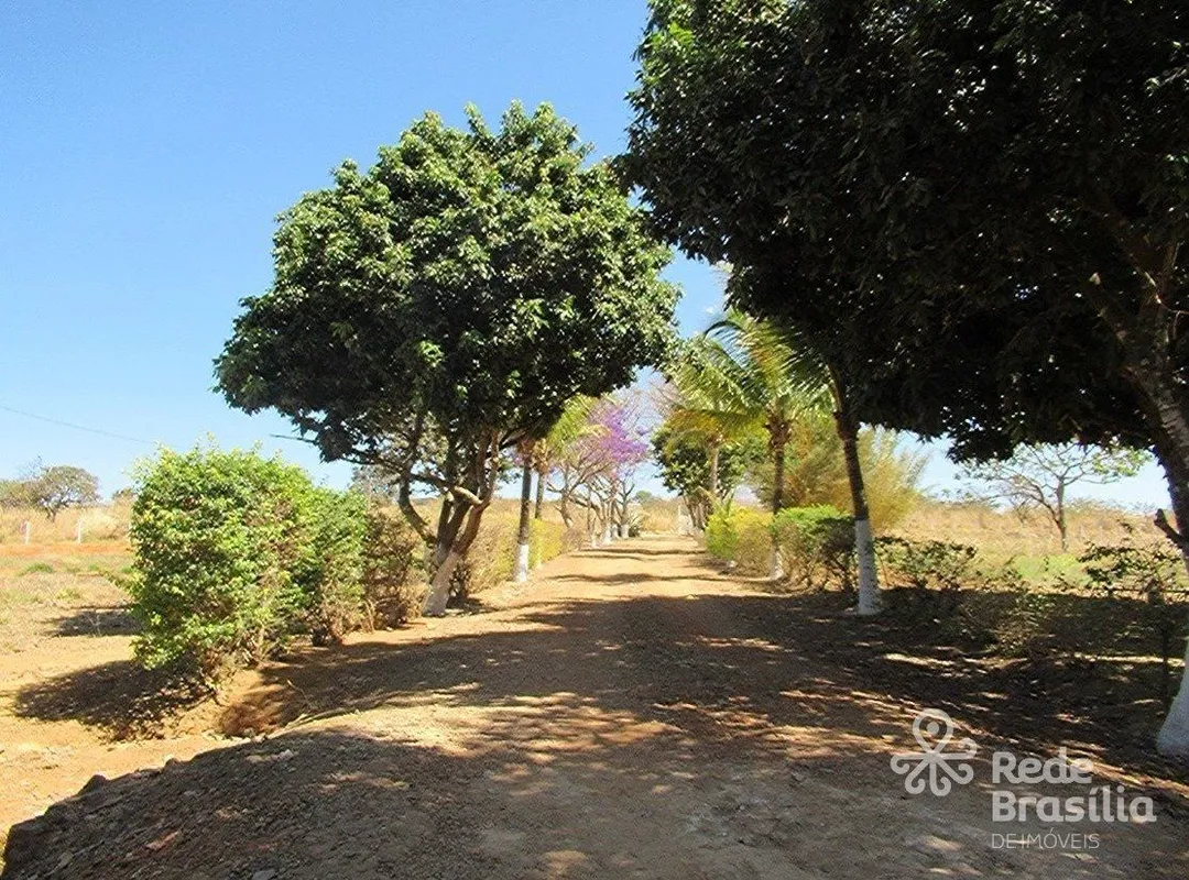 Excelente chácara à venda na área rural de Ceilândia/DF, com 29 hectares (290.00...