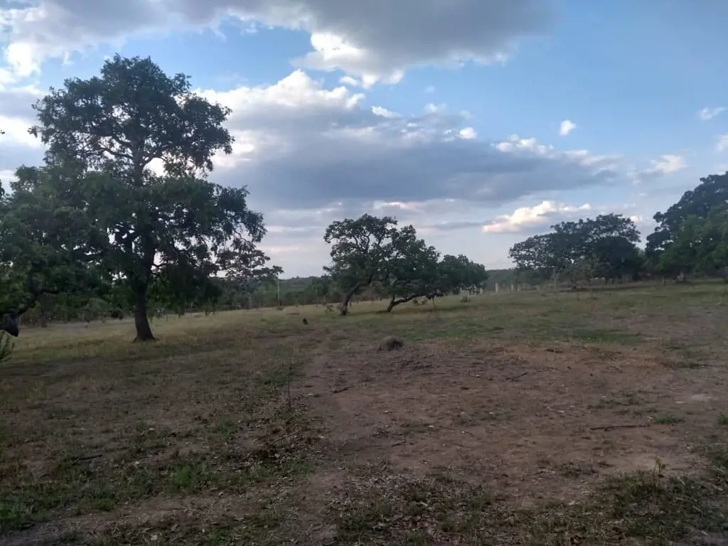 Lote de 14.000m² pronto para ser construído.Excelente investimento para casas do...