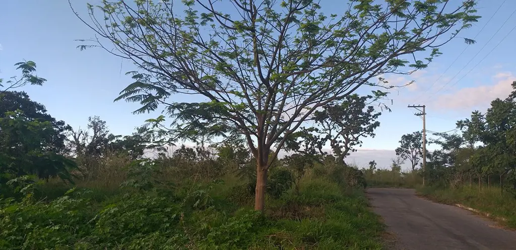 CLAUDIO SINIMBU VENDE EXCELENTE INVESTIMENTO, TERRENO DE 3,6 HECTARES NA REGIAO ...