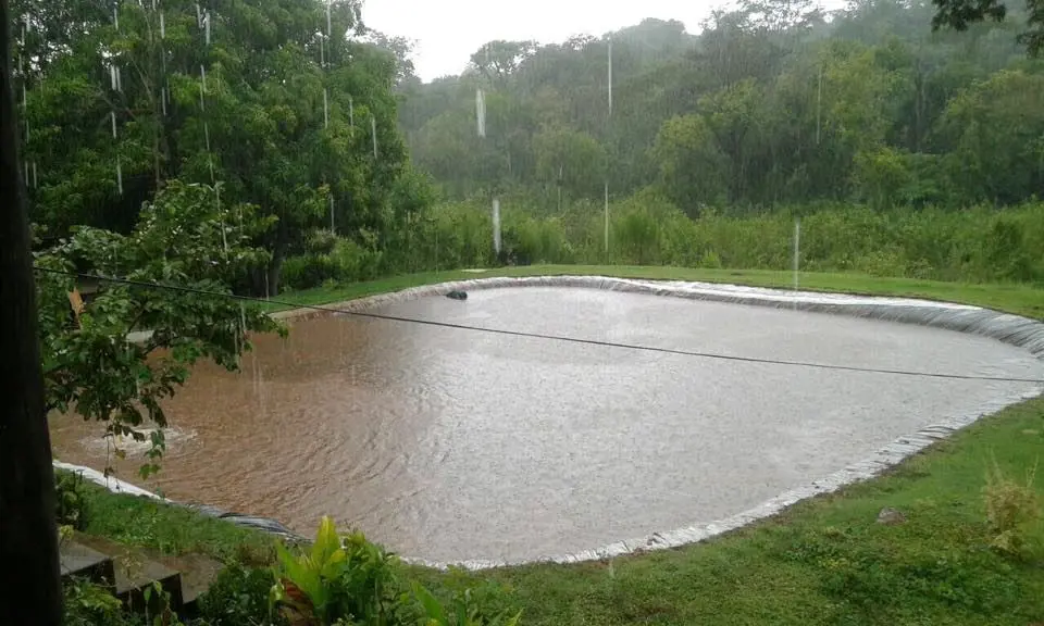 FAZENDA VARGEM BONITA, 109.761 Ha, (22,68 alqueires) município de Bela Vista de ...