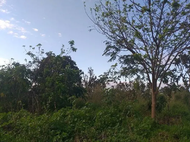 Claudio Sinimbu Vende Excelente lote de 2 HECTARES. Agende já sua Visita!!!(61) ...