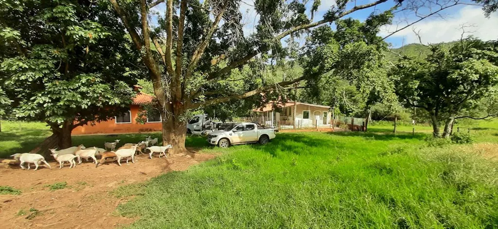 VENDOFazenda localizada em Formosa no vale da cachoeira do Itiquira, área total ...