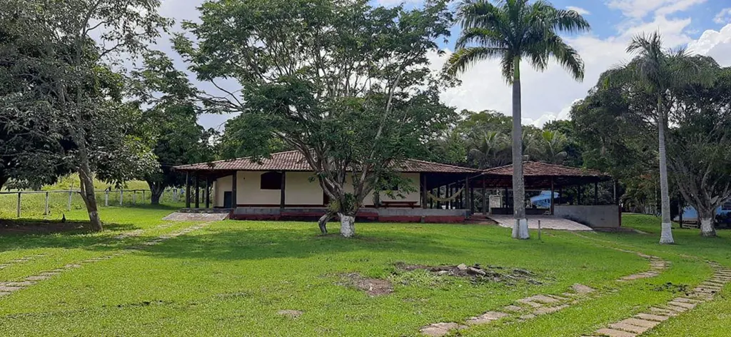 Vendo Fazenda, 40 Hectares, Divisões de Pasto e Plantio, Pomar, Jardim, Curral. ...