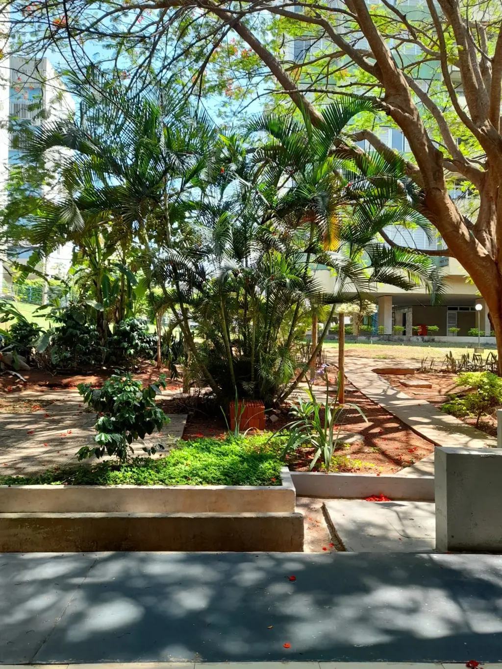 LOJA COM SOBRELOJA E SUBSOLO COM BANHEIROLoja, sobreloja e mezanino.Os valores d...