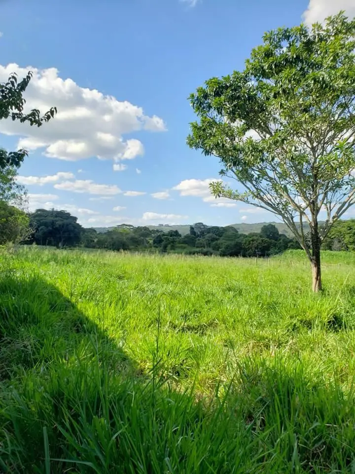 VILLA139970 - Última atualização: 01/04/26 23:31SÍTIO SAO FRANCISCO DE ASSIS1 - ...