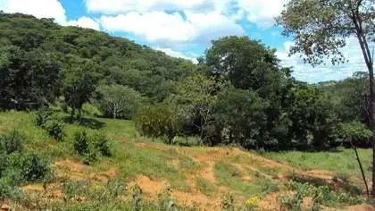 OPORTUNIDADE TERRA NUAÁrea de 361hec , escriturada, com georreferenciamento, com...