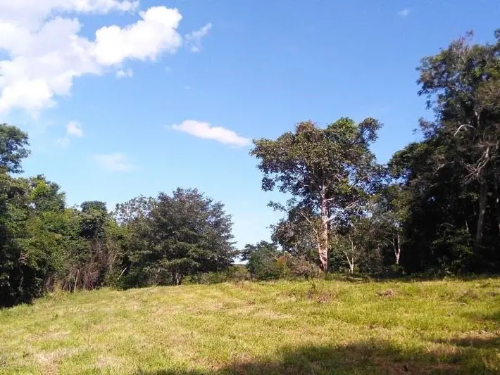  Comentários do corretor: Excelente Fazenda à Venda - 34 Alqueires - Próxima à B...