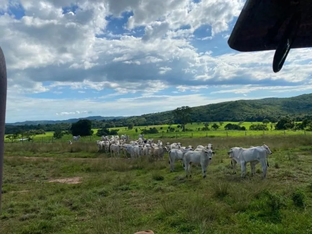 HENRIQUE: 9 8 1 9 8-4 2 4 0 (whatsapp) Fazenda para Venda no município de Israel...