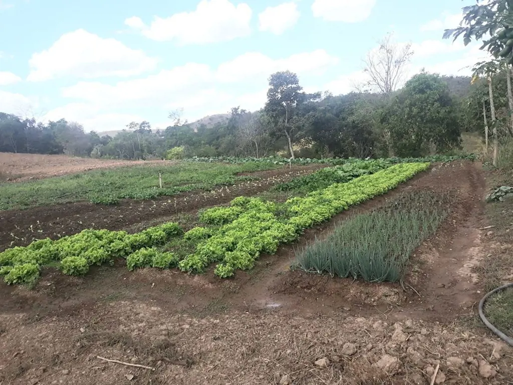 ALEXÂNIA, 44 HECTARES 04 KM DA BR !! ACESSO PELO POSTO NETO.ESCRITURADA. UMA FAZ...