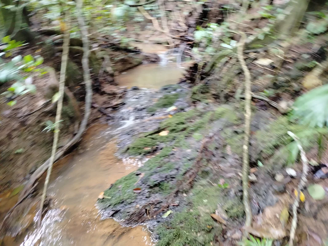 Chácara de 2 hectares, com córrego perene e linda vista , ,Escriturada E Registr...