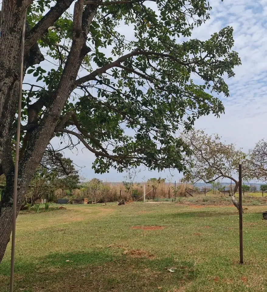 MENDONÇA VENDE UMA ÁREA DE 5.000Mts, PLANA, COM BELÍSSIMA VISTA, HÁ 11KM DA PONT...