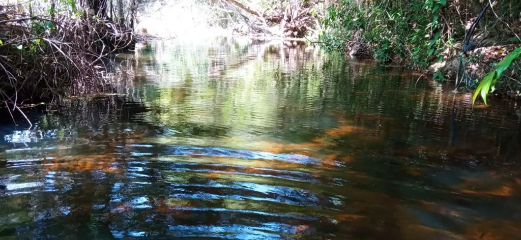 Chacara Escriturada a venda em Cocalzinho Chacara Escriturada em Condomínio fech...