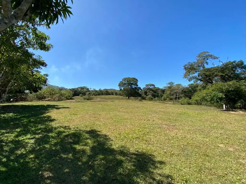 Fazenda à venda com 115 hectares – Santo Antônio do Descoberto-GOPropriedade rur...