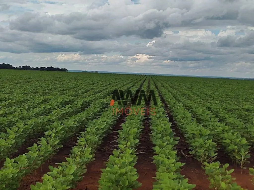 Cod:FA0070Fazenda em Tocantins 503 alqueires Localizada na região de Pedro Afons...