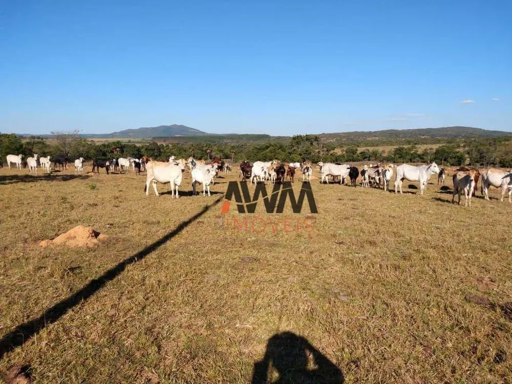 Cod:FA0072Captador RogérioFazenda 44 alqueires Em Uruana GOcurral galpão2 repres...