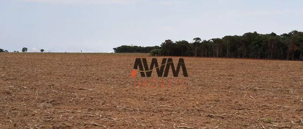 COD:FA0081Captador RogérioChácara de 08 alqueiresMunicípio de Americano do Brasi...