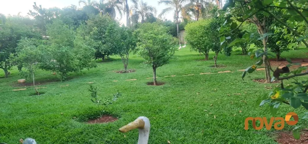 Chácara de moradia e lazer a venda em condomínio fechado em Santo Antônio de Goi...