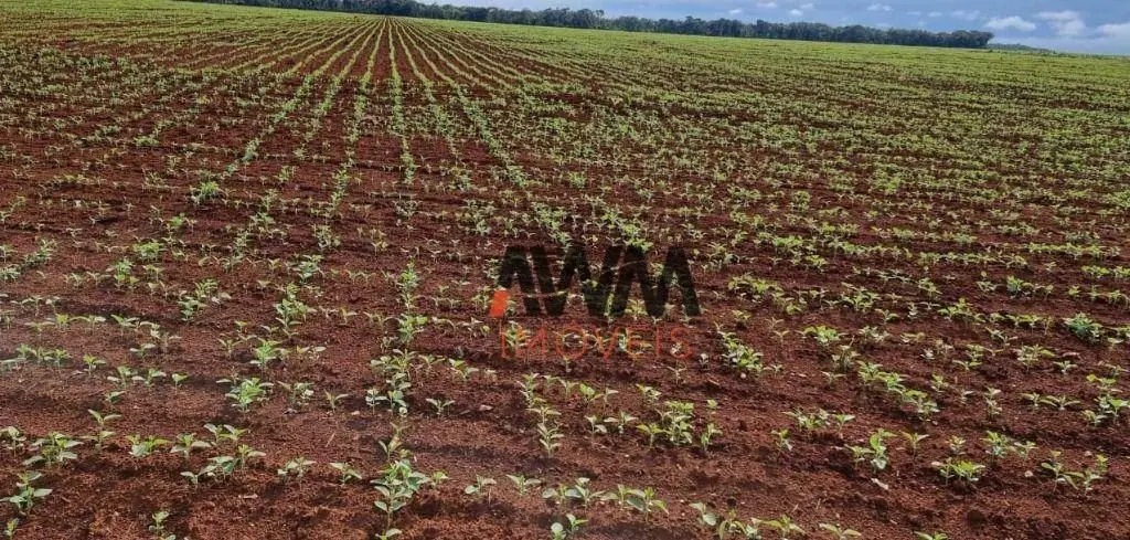 Cod:FA0097Captação RogérioFazenda Tocantins Área total 10,000 hectares 4.000 hec...