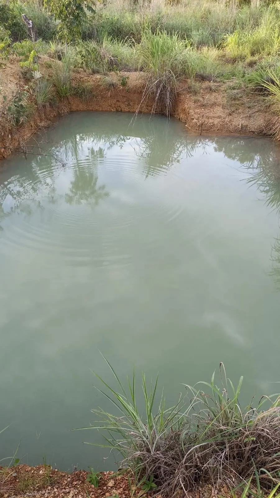 Vendo excelente chácara em Unaí minas gerais 1 hectare no chacreamento vargem bo...