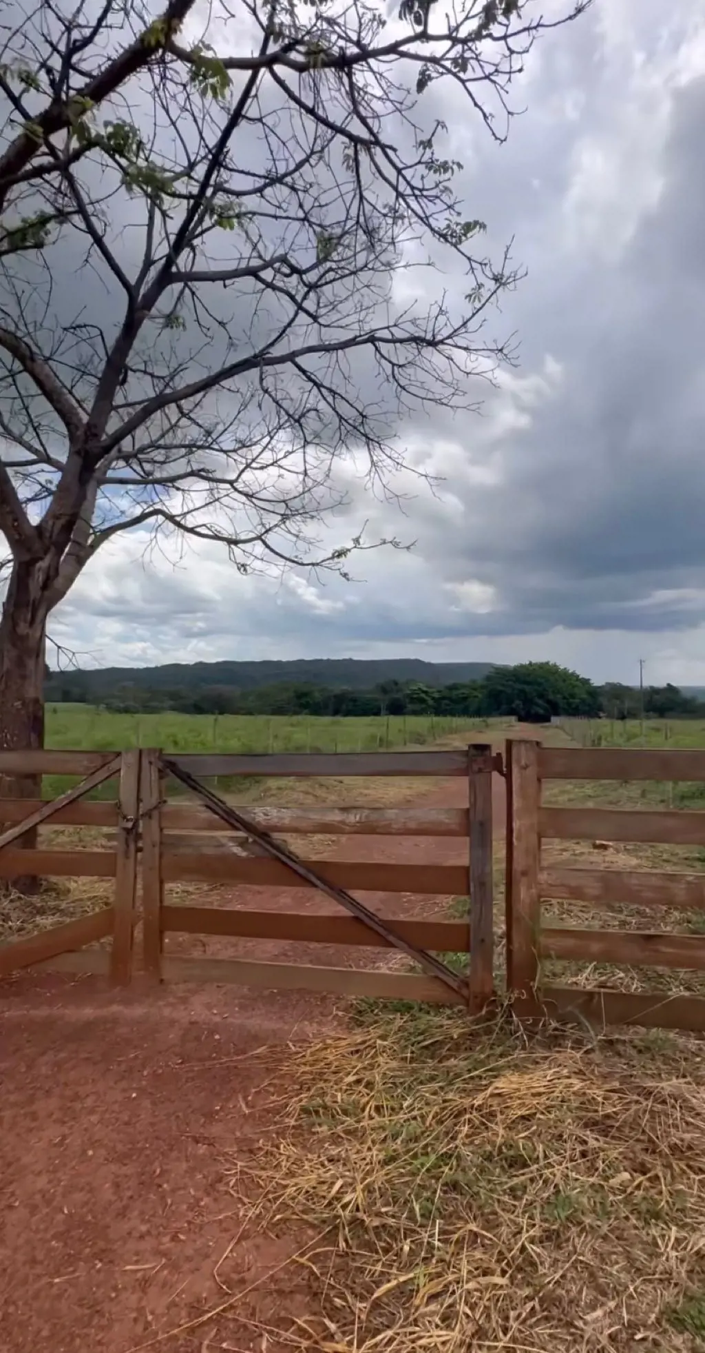 Fazenda no Município de Hidrolândia - Go. 8 alqueires (terra plana). Apenas 2.80...