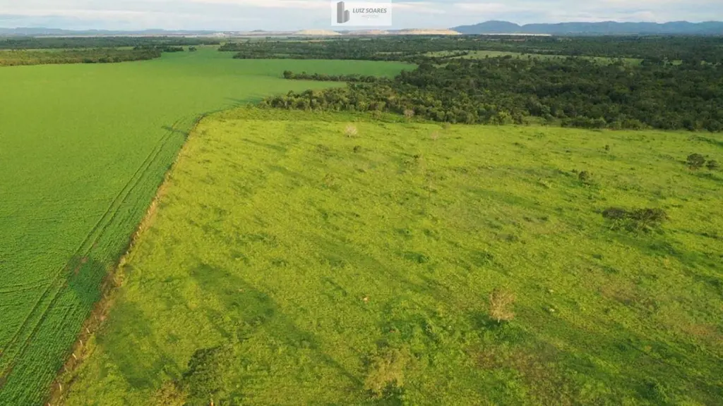 VENHA INVESTIR NA REGIÃO MAIS PRÓSPERA DO ESTADO DE GOIÁS.REGIÃO DE NOVO HORIZON...