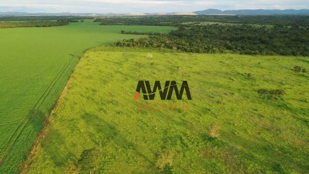 Código FA0156Captação RogérioFazenda a Venda Em Alto Horizonte GO50 AlqueiresAtu...