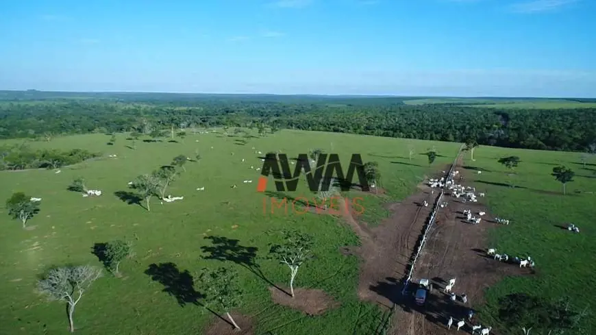 Código FA0170Captador RogérioVende-se uma fazenda com 6.280 hectares em Paranati...