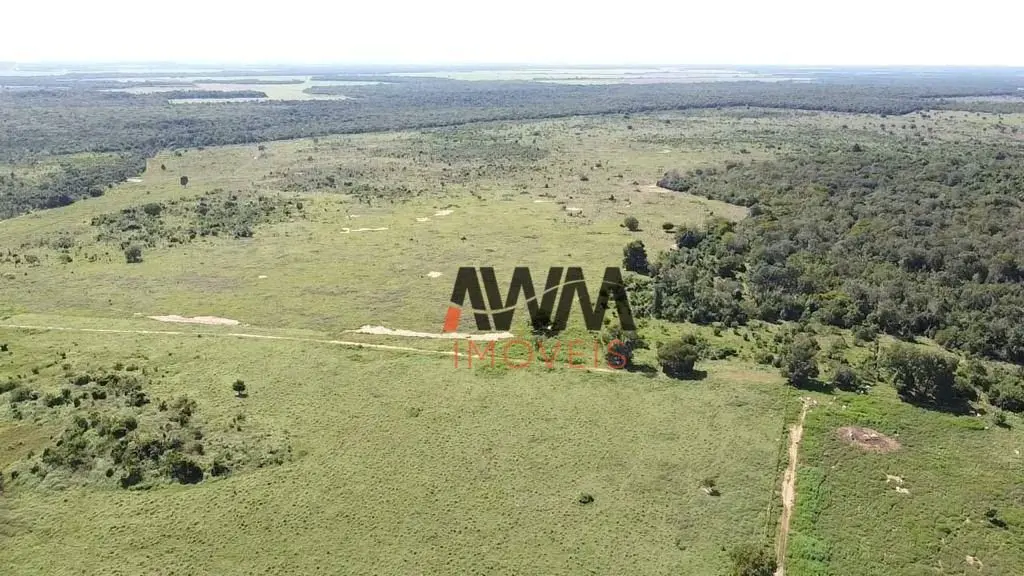 Código FA0178Captador RogérioFazenda 157 alqueires Planta 100 alqueires 80% plan...